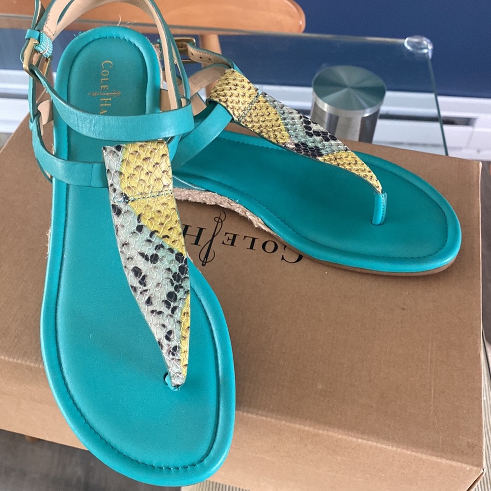 Cole Haan Size 9 Sandal - turquoise and snake print